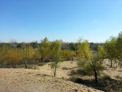 -亿利库布其七星湖沙漠生态旅游区