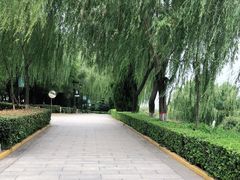 -西安汉城湖景区