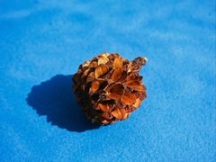 -南宁良凤江国家森林公园