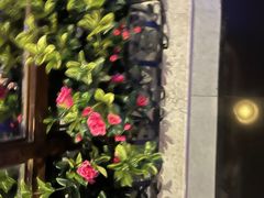 -骑士KTV(红谷滩万达店)