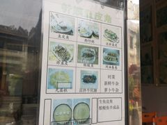 门面-针姨