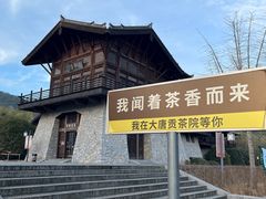 -大唐贡茶院