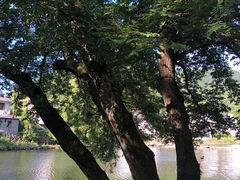 -鹿亭中村