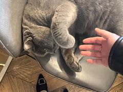 -Me Coffee下午茶艺术空间