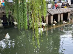-奶奶的美食(宽厚里店)