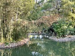 -八大山人梅湖景区