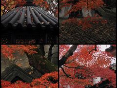 -留园
