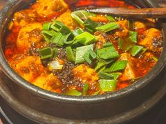 陈麻婆豆腐-陈麻婆豆腐(旗舰店)