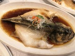 清蒸鲈鱼-淮扬韵.淮扬味道