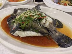 清蒸石斑鱼-众味海鲜大排档·活海鲜·潮汕味(南澳店)