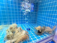-东厨虾煌(电子街店)