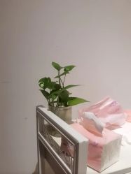 -Dr.林醫生产后修复·配方产康店(南京大厂店)