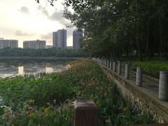 -南宁南湖公园