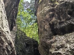 -牛背梁国家森林公园