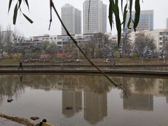 -雁滩公园