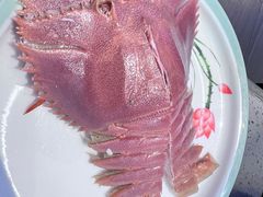 琵琶虾-乔哥铭洋海鲜自助(皇城恒隆广场店)