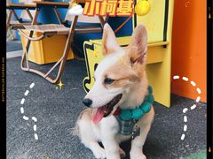 -嗨皮儿·现蒸面皮(抄纸巷店)