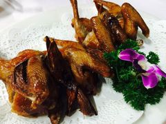 -蒲园食堂(中山大学广州校区南校园店)