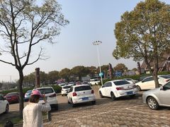 -野生动物园-停车场