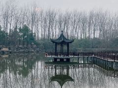 -合肥滨湖国家森林公园