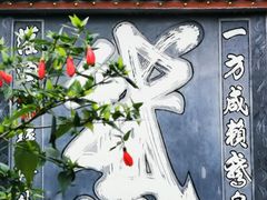 -靖西鹅泉风景区