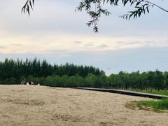 -东郊湿地公园