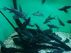 -常州海昌海洋探索馆