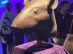 -广西壮族自治区博物馆