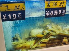 -金龙·打边炉(南京西路店)