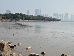 -星巴克(深圳五洲星苑店)