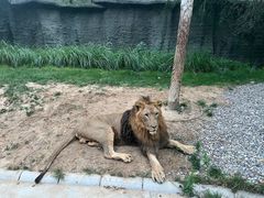 -北京野生动物园