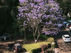 -攀枝花公园