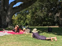 -墨尔本皇家植物园