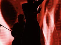 -广州白天鹅宾馆