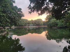-荔湾湖公园