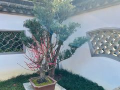 -无锡梅园公园