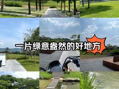 -光明小镇欢乐田园