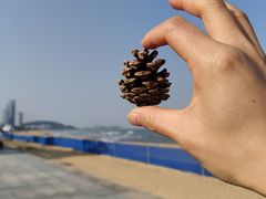 -威海国际海水浴场旅游区