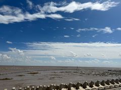 -南汇嘴观海公园