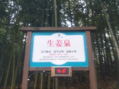 -江南天池高山汤泉城
