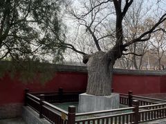 -天宁寺