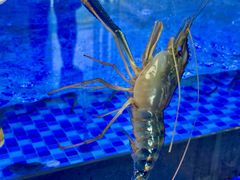 -七的湖·晚芳亭·阳澄湖农家菜·大闸蟹(莲花岛店)