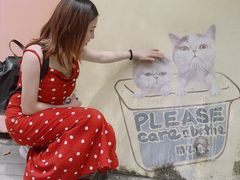 -槟城街头艺术街区