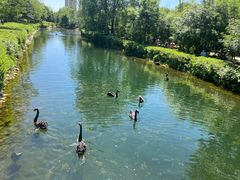 -长白岛森林公园