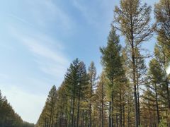 -塞罕坝国家级自然保护区