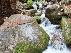 -五女峰国家森林公园