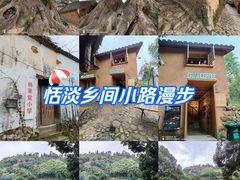 -杨家堂村