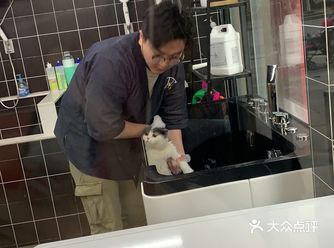 这家店是我的带家里猫咪洗澡去过最好的店了