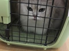 -艾贝尔宠物医院·宠保定点·超声绝育·免疫点(樱花路店)