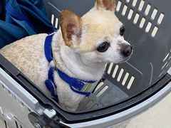 -美联英语(绿宝中心)